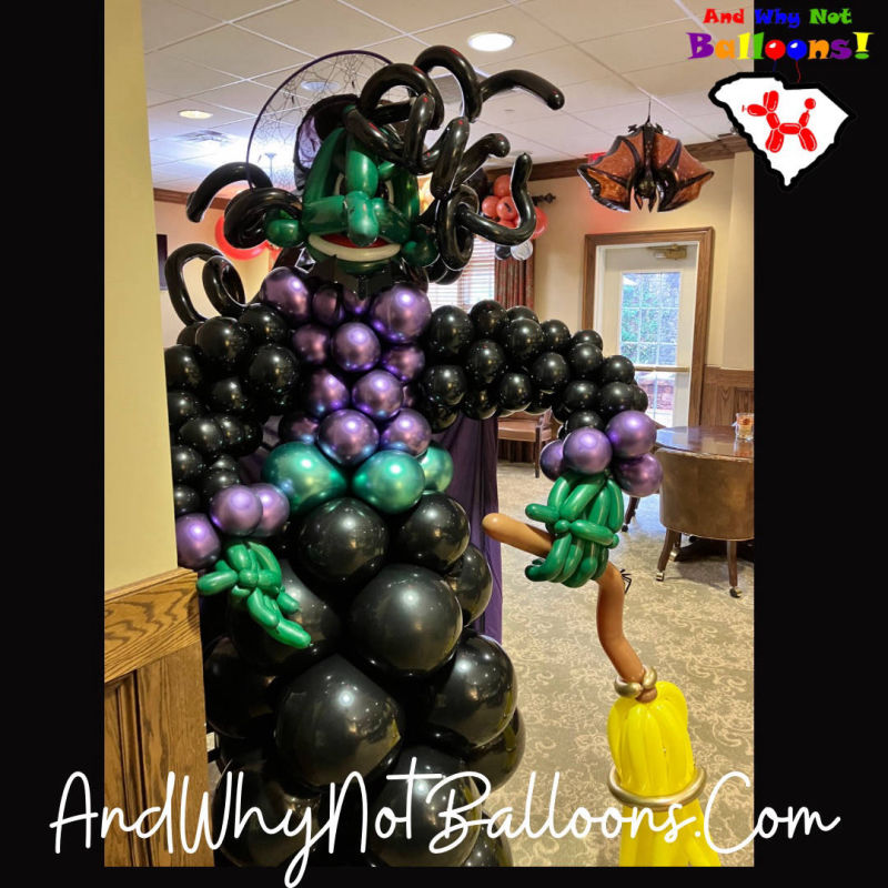 And Why Not Balloons Hand Twisted Balloon Character Greenville SC