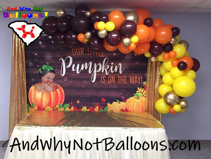simpsonville sc balloon decor and why not balloons custom babyshower organic backdrop