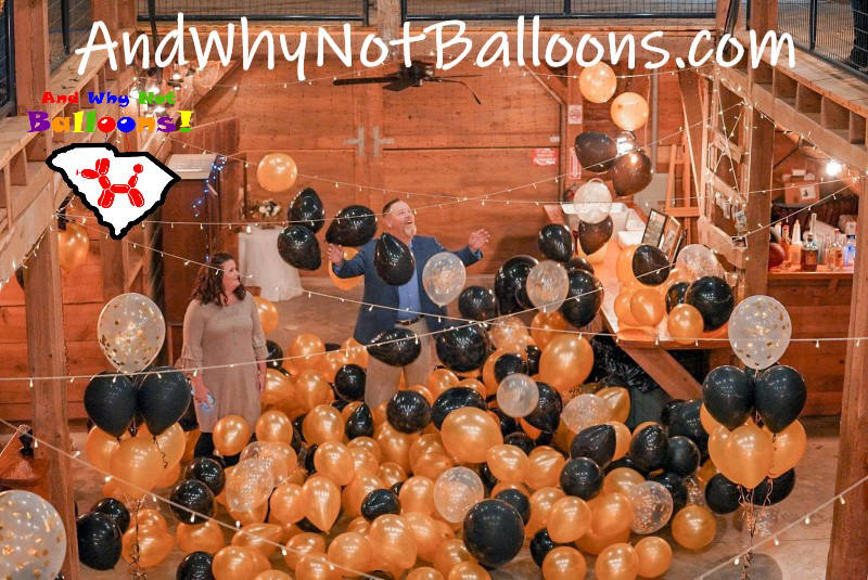 spartanburg sc birthday balloon drop and why not balloons