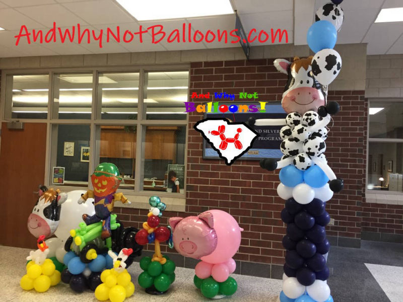 spartanburg sc custom balloon art and why not balloons