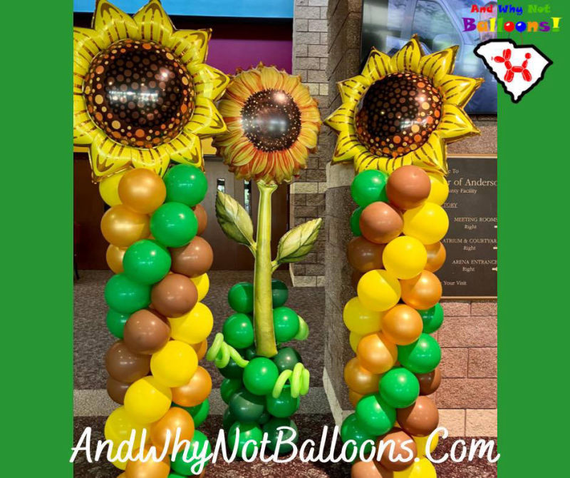 Sunflowers andwhynotballoons.com Spartanburg, SC.